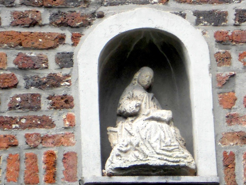 PHOTO 51