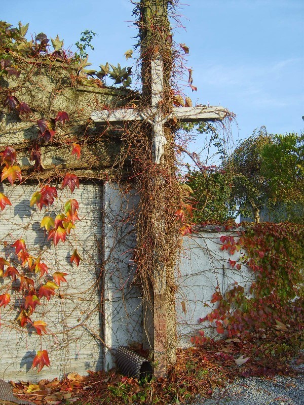 PHOTO 53